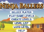 Ninja Ballers