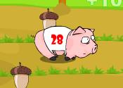 Pig Race